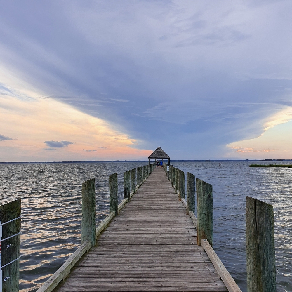 🏵 2 for $15 plus panta